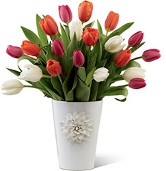 Tulip Trends Bouquet for Kathy Ireland Home from Clermont Florist & Wine Shop, flower shop in Clermont